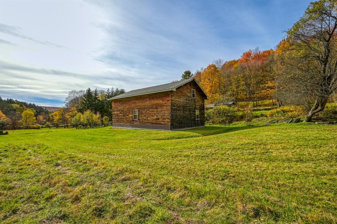 170 Grenier Road Jefferson, NY 12093 - Photo 10 of 78