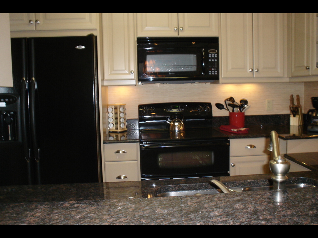 850 Gangplank Road, Unit 316 Moneta, VA 24121 - Photo 3 of 10 Kitchen