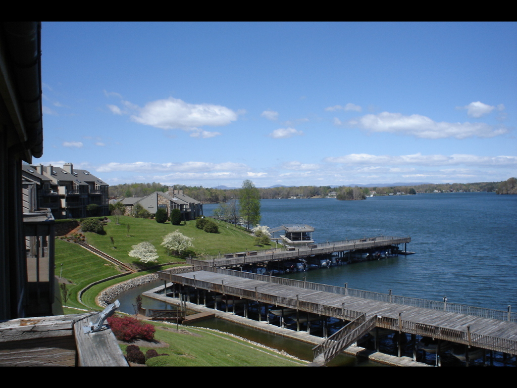 850 Gangplank Road, Unit 316 Moneta, VA 24121 - Photo 5 of 10 Lake Views