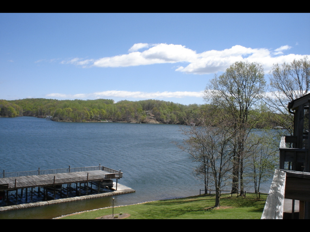 850 Gangplank Road, Unit 316 Moneta, VA 24121 - Photo 6 of 10 More Stunning Water Views