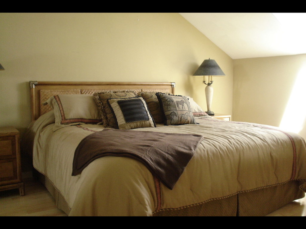850 Gangplank Road, Unit 316 Moneta, VA 24121 - Photo 7 of 10 Upstairs Master Suite