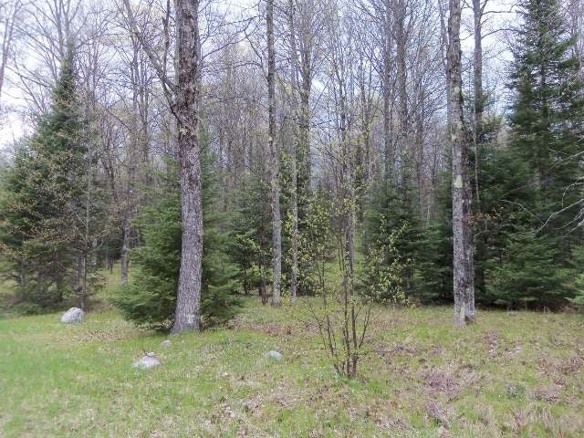 Lot 2 Timberline Road Mercer, WI 54547 - Photo 1 of 20 Gallery Image 1
