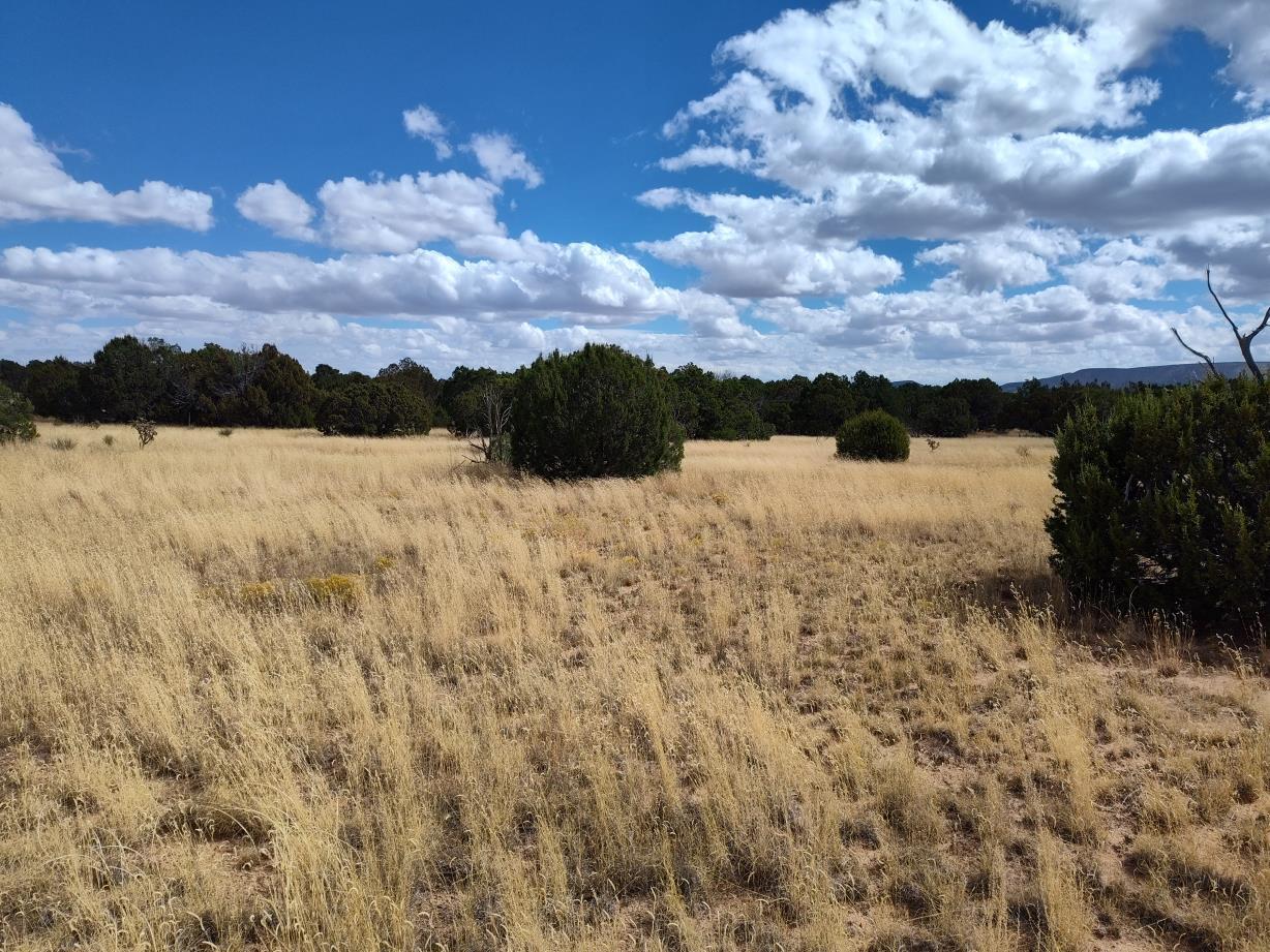 Golf Course Road Mountainair, NM 87036 - Photo 11 of 22 Gallery Image 11