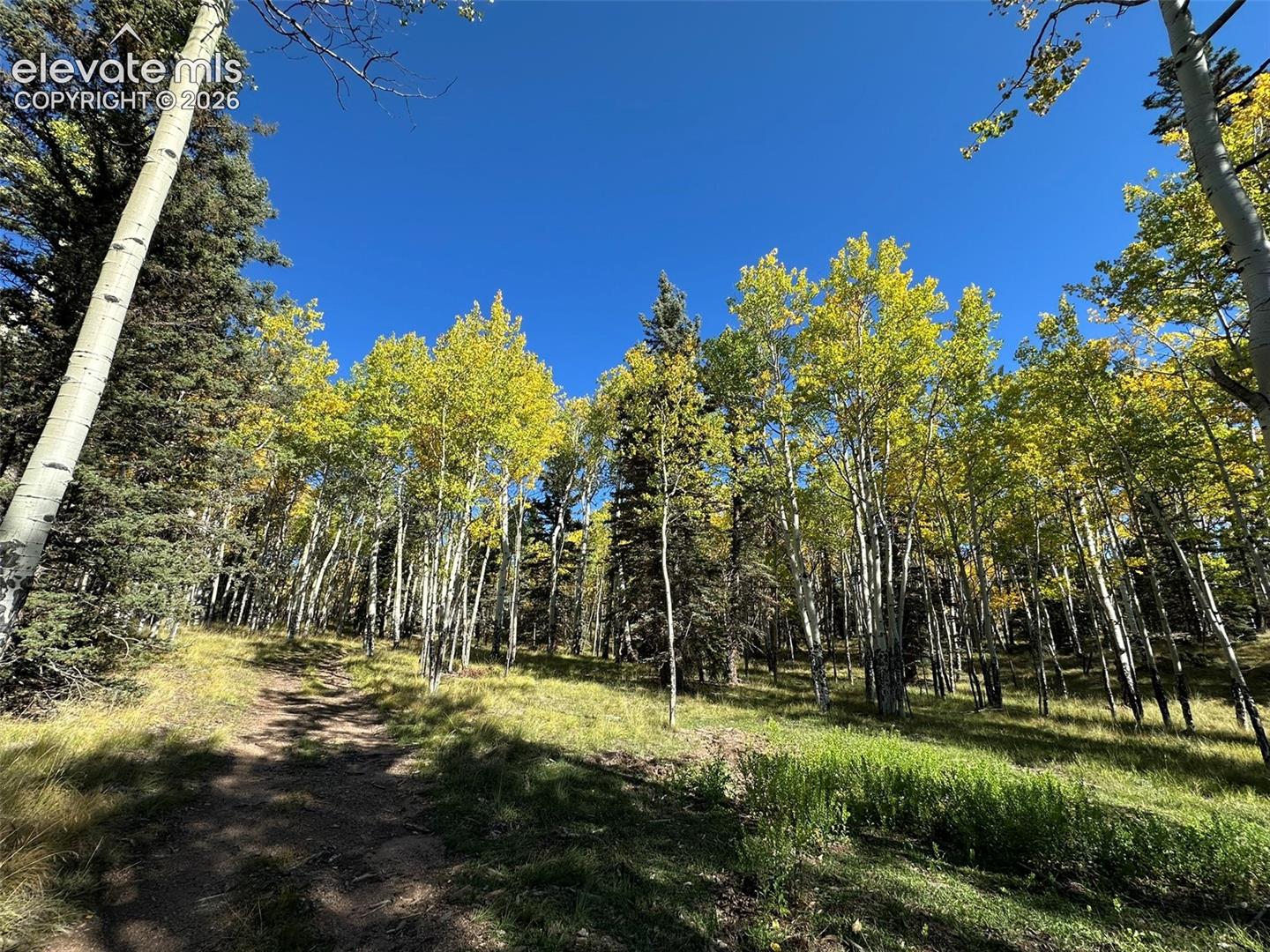 2940 NORTH Rd Divide Divide, CO 80814 - Photo 16 of 27 Gallery Image 16