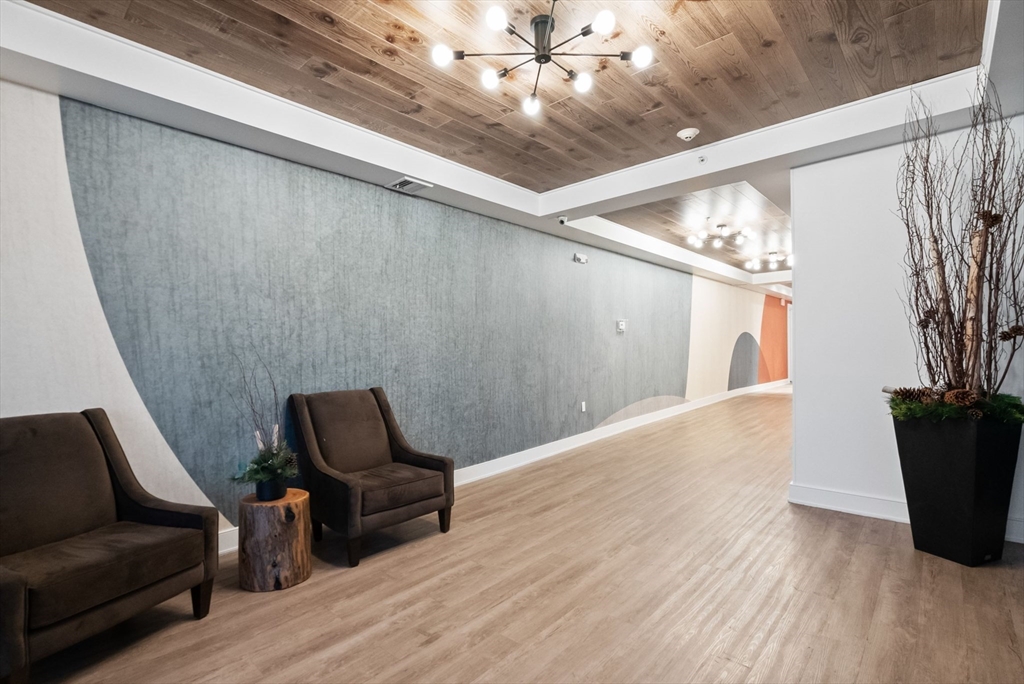 405 West First Street, Unit 303 Boston, MA 02127 - Photo 26 of 29 a living room with furniture and a potted plant