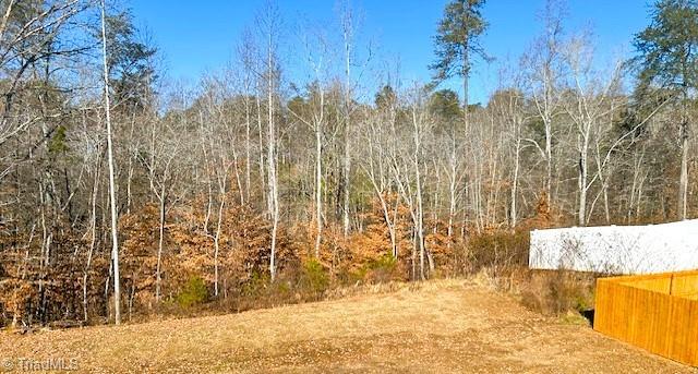 6801 Capstone Court Rural Hall, NC 27045 - Photo 30 of 38