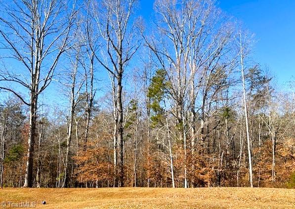 6801 Capstone Court Rural Hall, NC 27045 - Photo 31 of 38