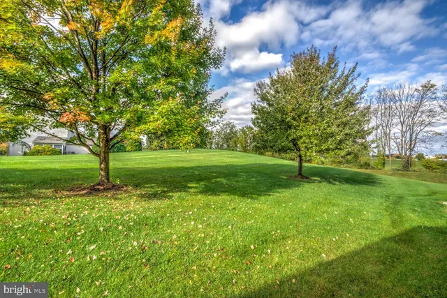 a backyard of a house with lots of green space