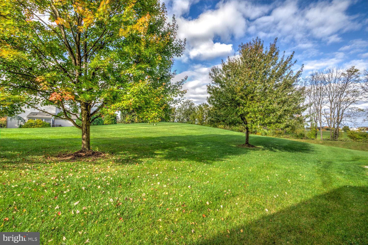 1006 Cobblestone Lane Lancaster, PA 17601 - Photo 8 of 38 a backyard of a house with lots of green space