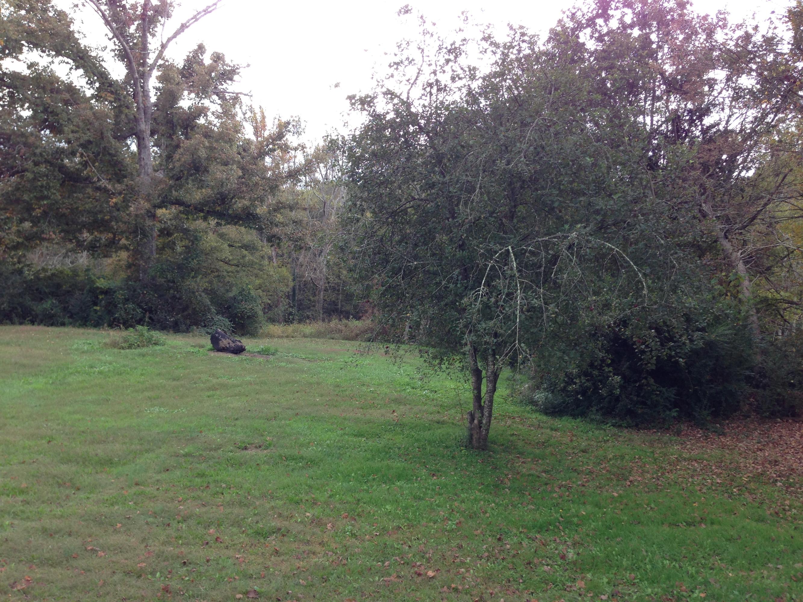 3925 Miser Station Road Louisville, TN 37777 - Photo 12 of 13 Backyard