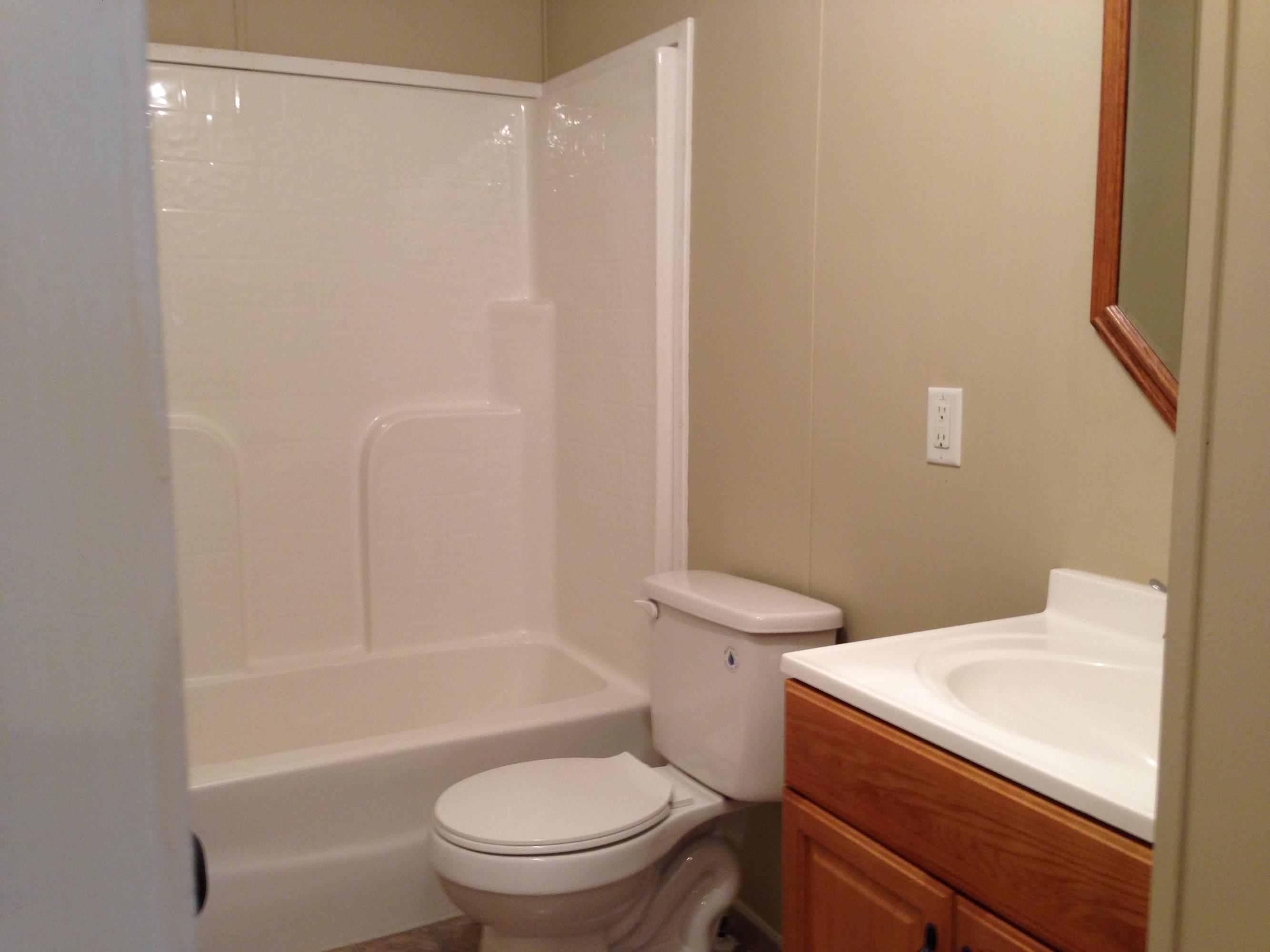 3925 Miser Station Road Louisville, TN 37777 - Photo 10 of 13 Hall Bathroom