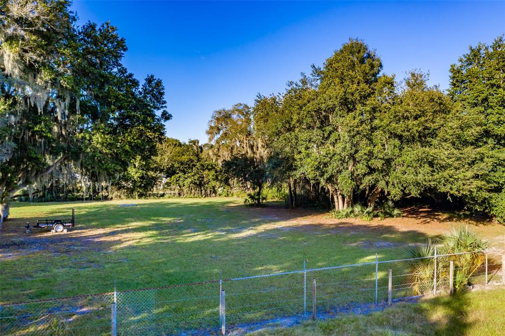 a view of a field with grass and trees