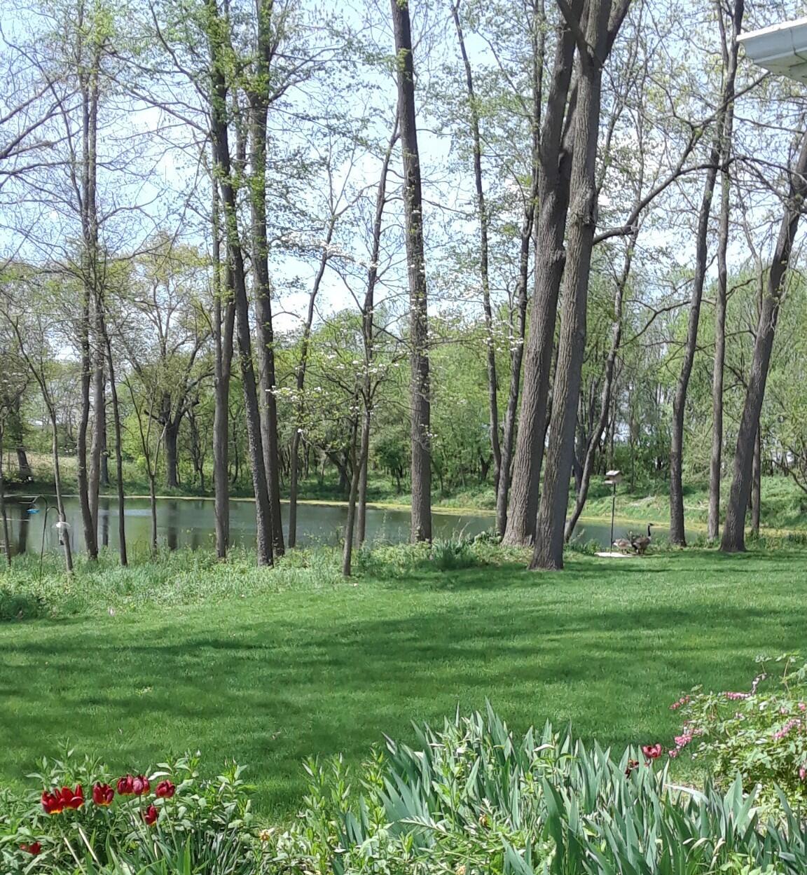 50820 Wetherbee Road Marcellus, MI 49067 - Photo 34 of 48 image000000 (3)