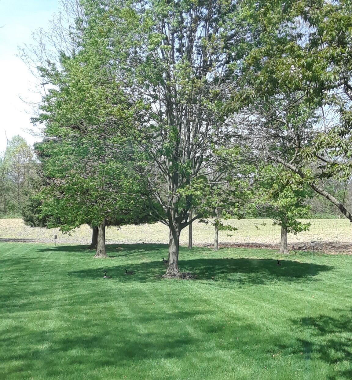 50820 Wetherbee Road Marcellus, MI 49067 - Photo 35 of 48 image000000 (4)