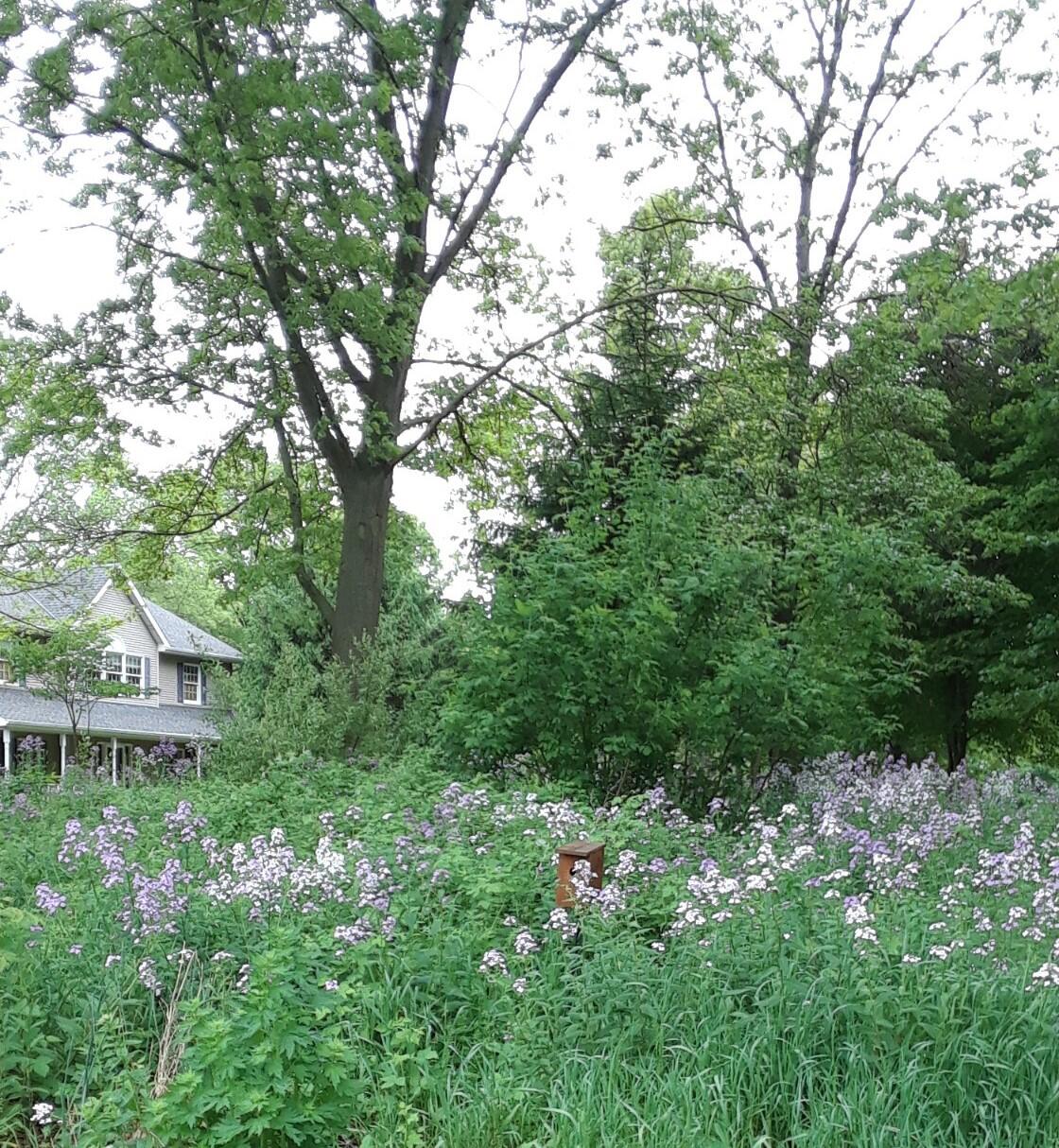 50820 Wetherbee Road Marcellus, MI 49067 - Photo 36 of 48 image000000 (5)