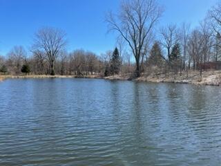 50820 Wetherbee Road Marcellus, MI 49067 - Photo 42 of 48 IMG_0398