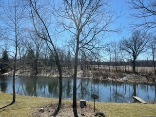 50820 Wetherbee Road Marcellus, MI 49067 - Photo 48 of 48 IMG_0386