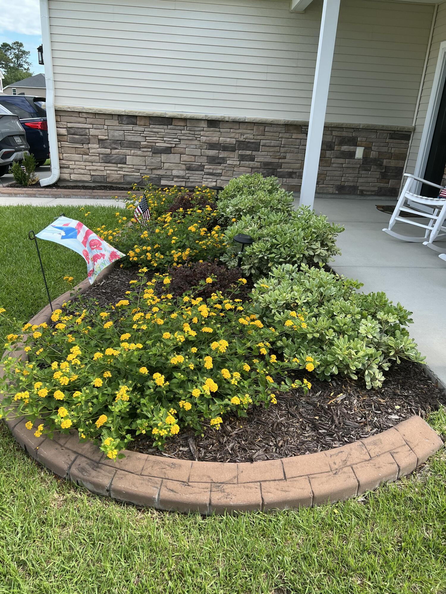 129 Ancestry Lane Moncks Corner, SC 29461 - Photo 33 of 33 IMG_20260213_154043