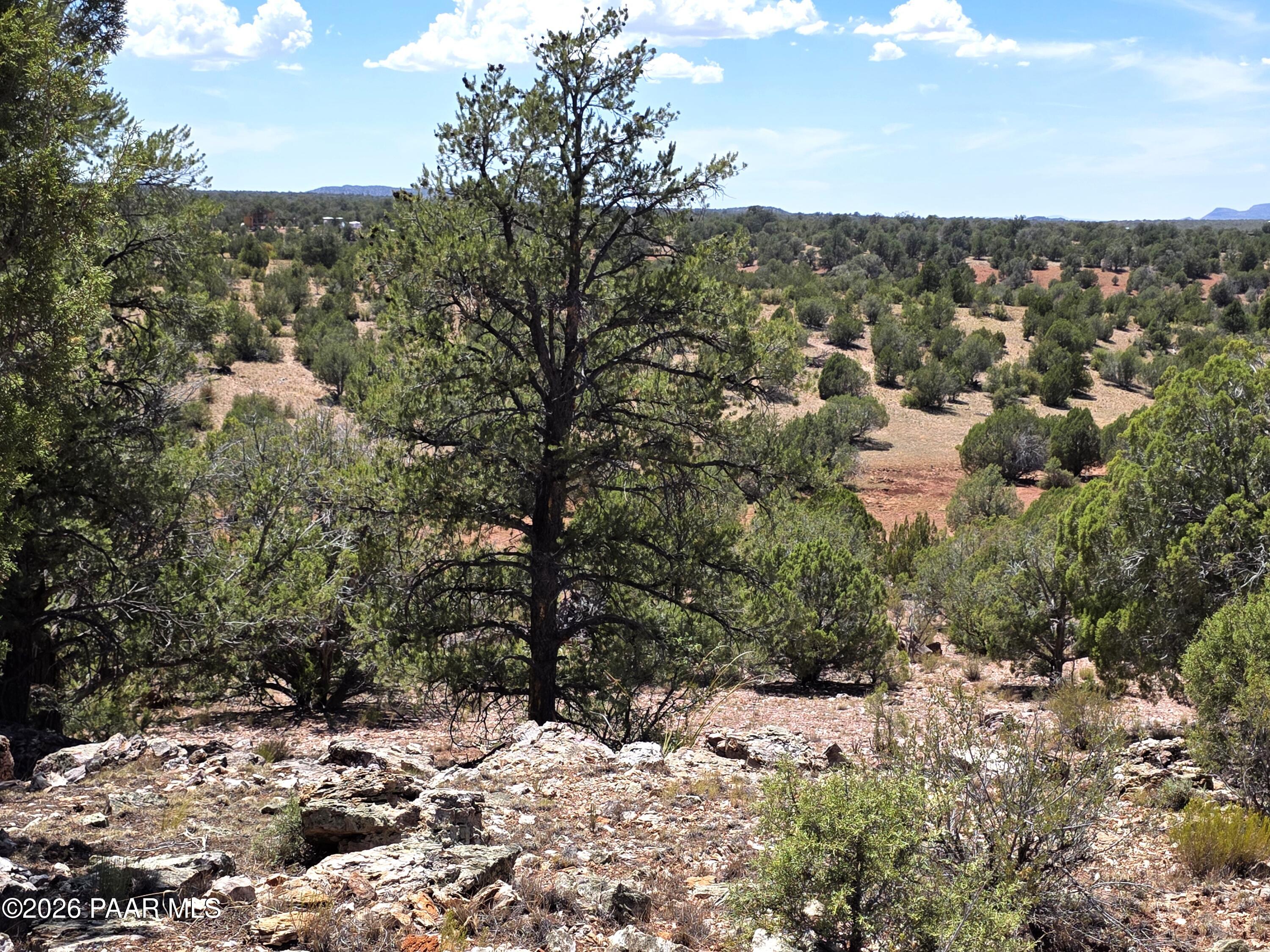3200 Poppy Road Ash Fork, AZ 86320 - Photo 11 of 34 20260711_141342