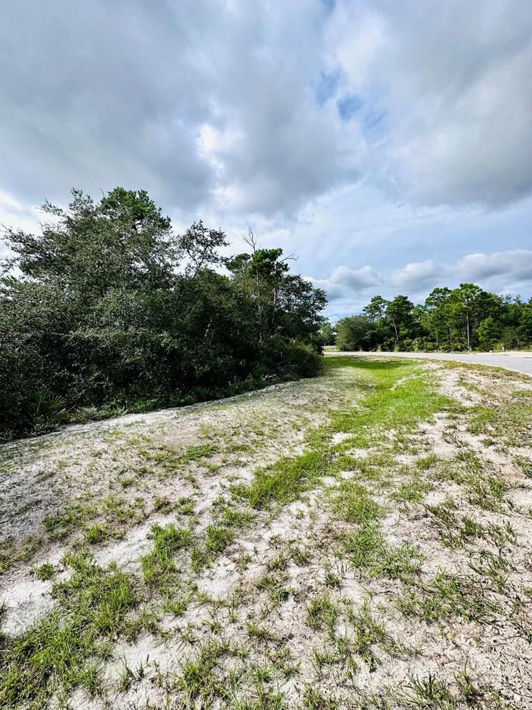 158 Singleleaf Road Eastpoint, FL 32328 - Photo 7 of 9