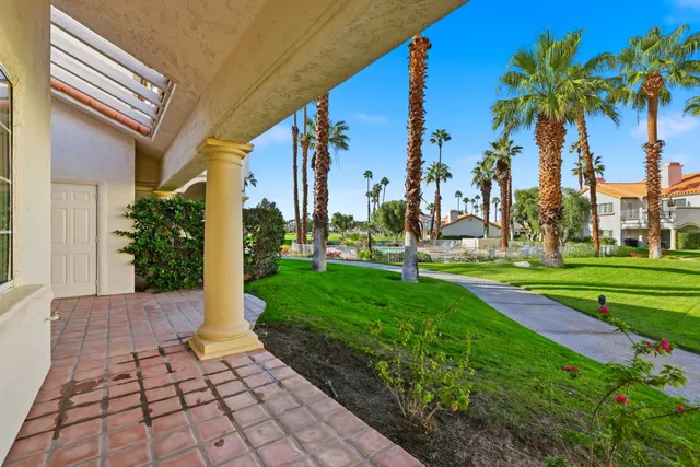 a view of a yard with palm trees