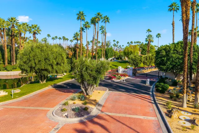 a view of a backyard with plants