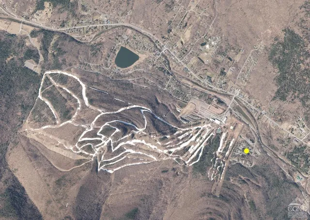 a view of a tall building with large trees