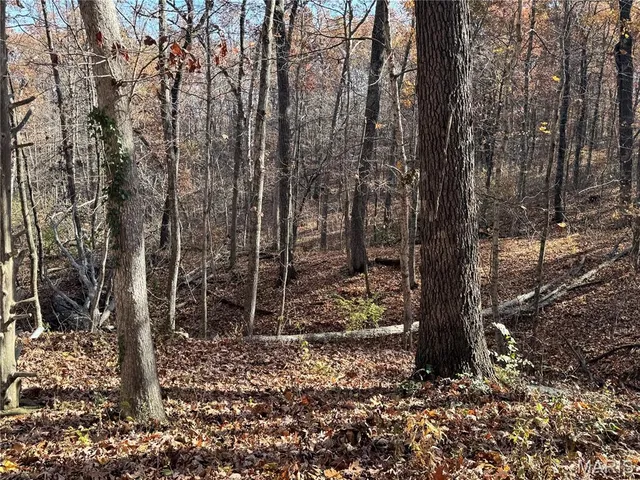 $298,900 | 24620 Frontier Trail, Warrenton, MO 63383