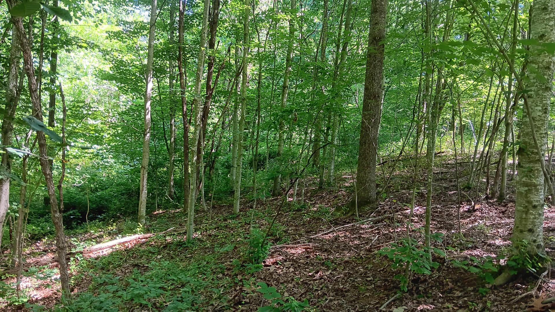 0 681st Road, Unit ALBANY HIDEAWAY TRACT 4) Albany, OH 45710 - Photo 21 of 47
