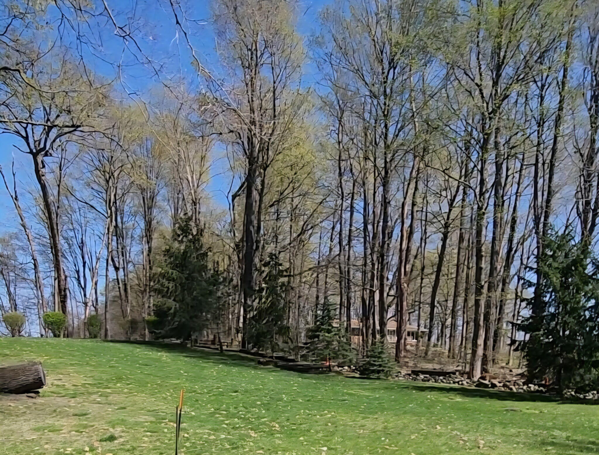 West Oak Drive Decatur, MI 49045 - Photo 3 of 12 Keeler Lake Waterfront Lot