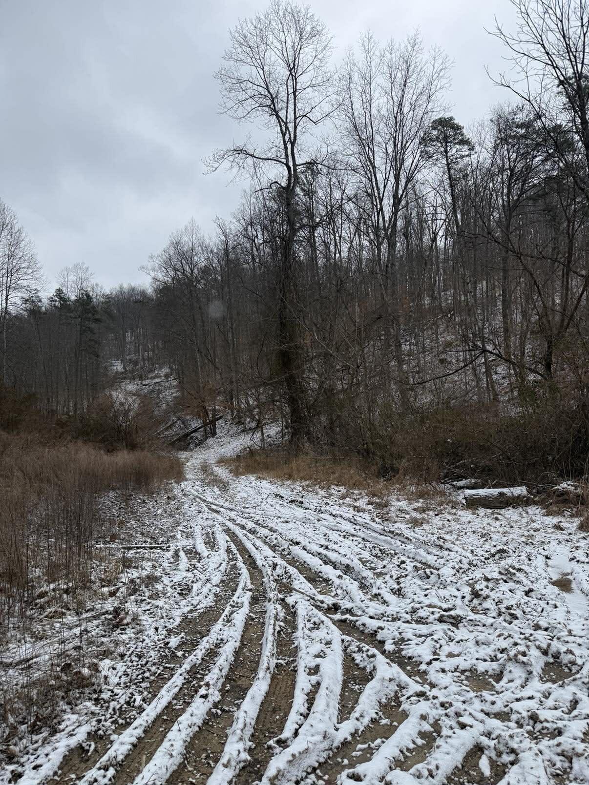0 Brier Fork Road Isonville, KY 41149 - Photo 5 of 12 639758136_2163194281141979_2232125376134