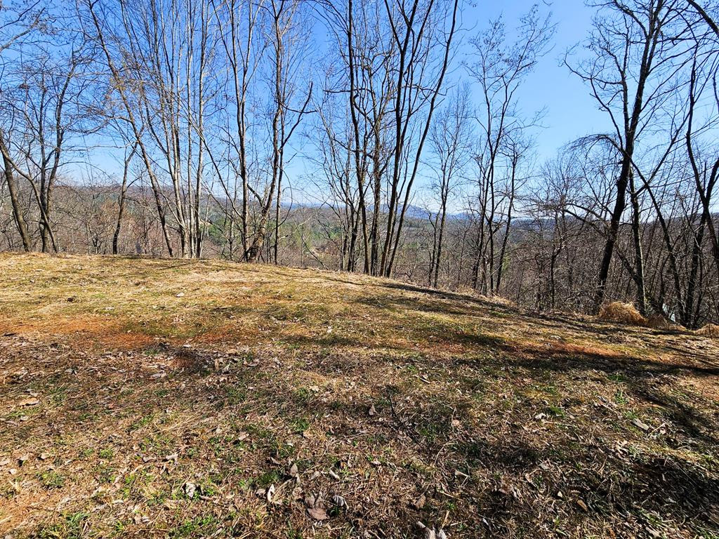 Lot 39 Merlin Trail Murphy, NC 28906 - Photo 15 of 21