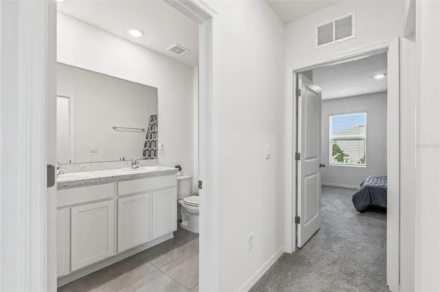 a view of a park with large trees