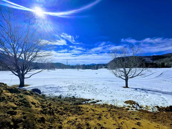 $959,900 | 7 A Hurlin Lane, Jackson, NH 03846