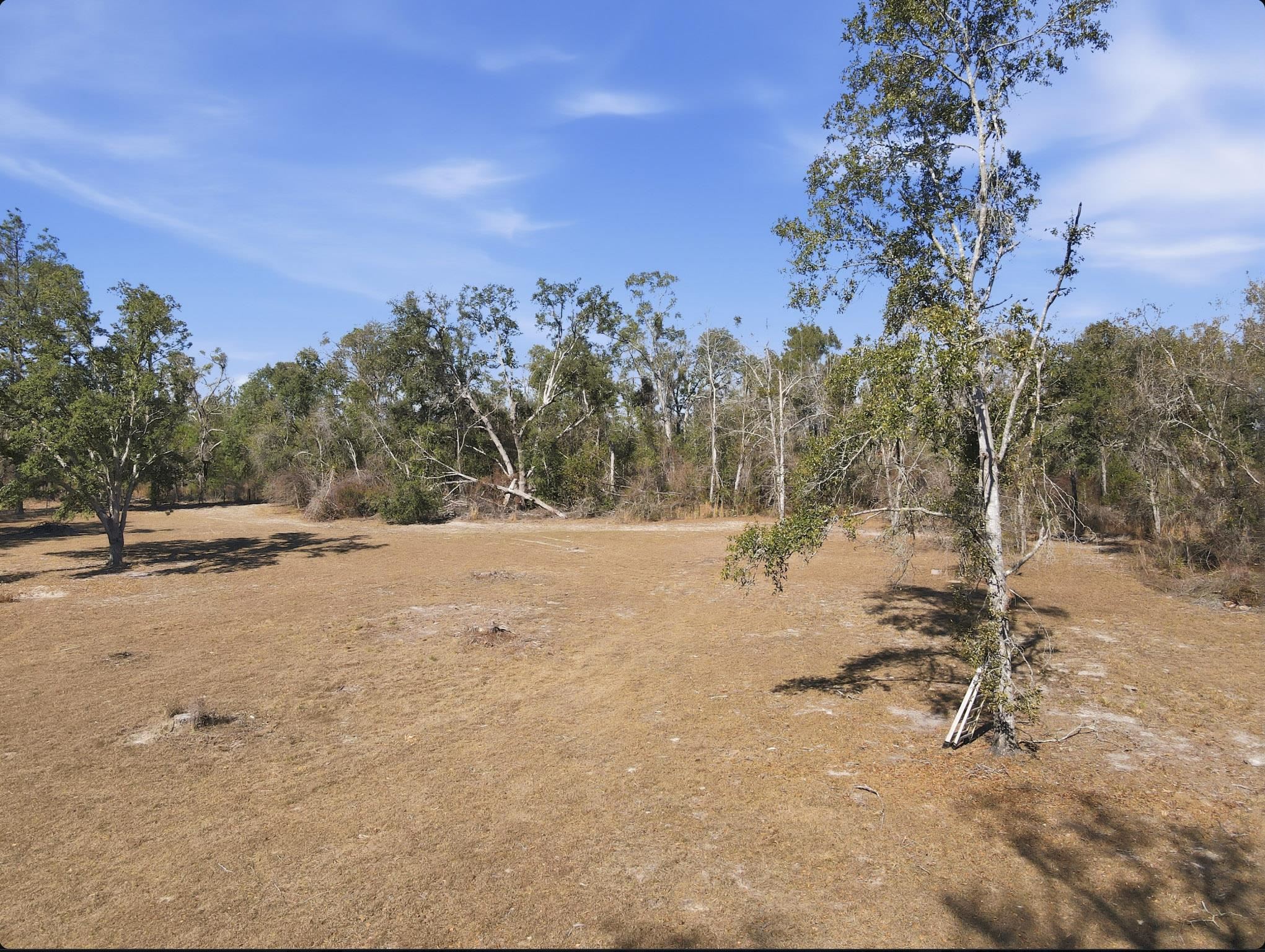 933 Northeast Fir Street Pinetta, FL 32350 - Photo 15 of 37