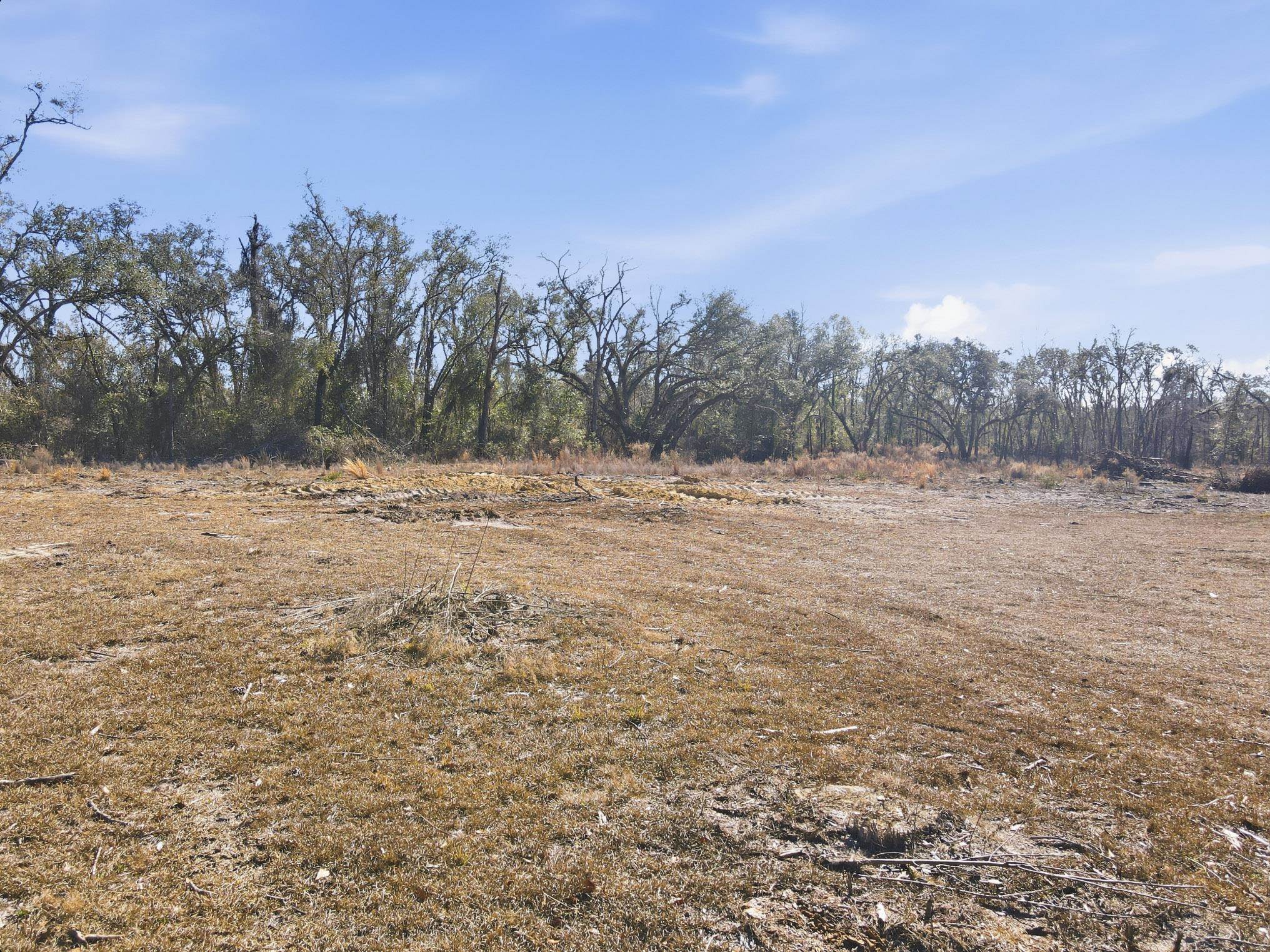 933 Northeast Fir Street Pinetta, FL 32350 - Photo 17 of 37