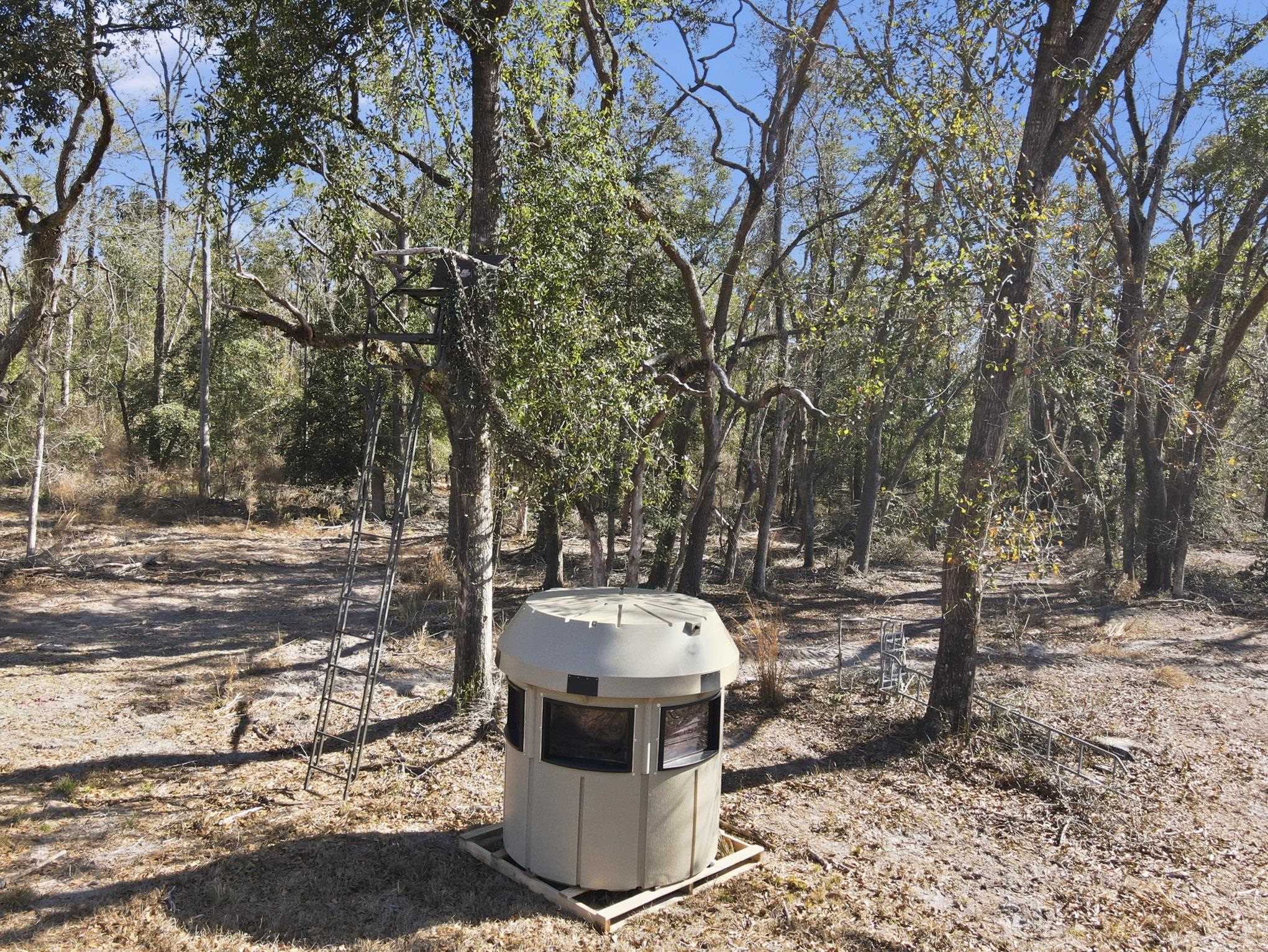 933 Northeast Fir Street Pinetta, FL 32350 - Photo 32 of 37