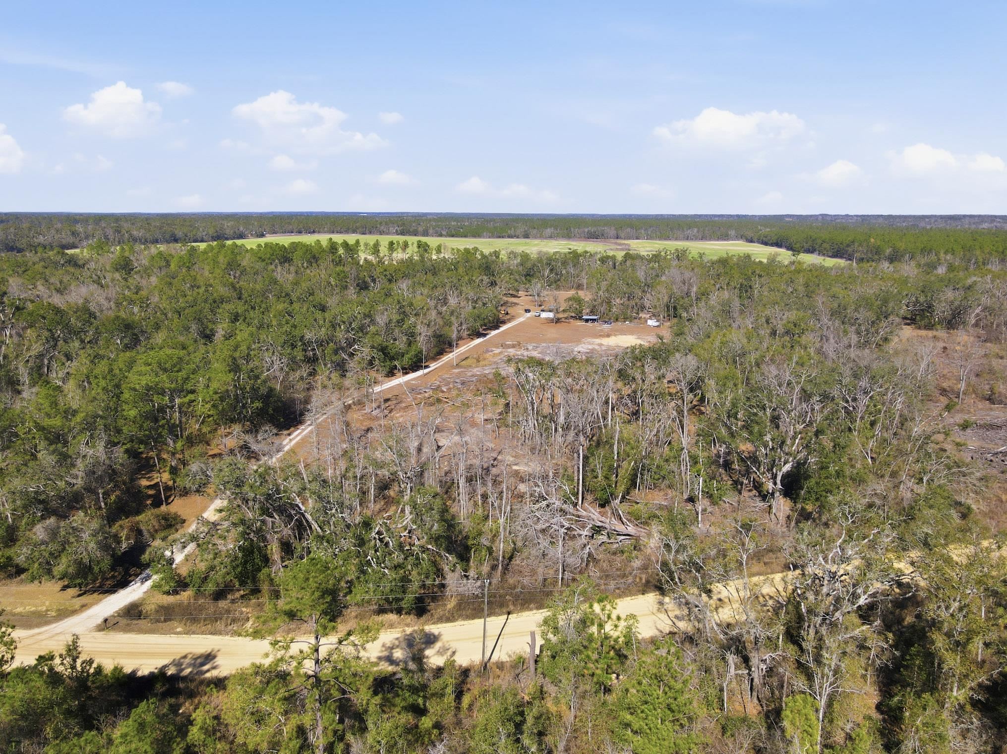 933 Northeast Fir Street Pinetta, FL 32350 - Photo 33 of 37