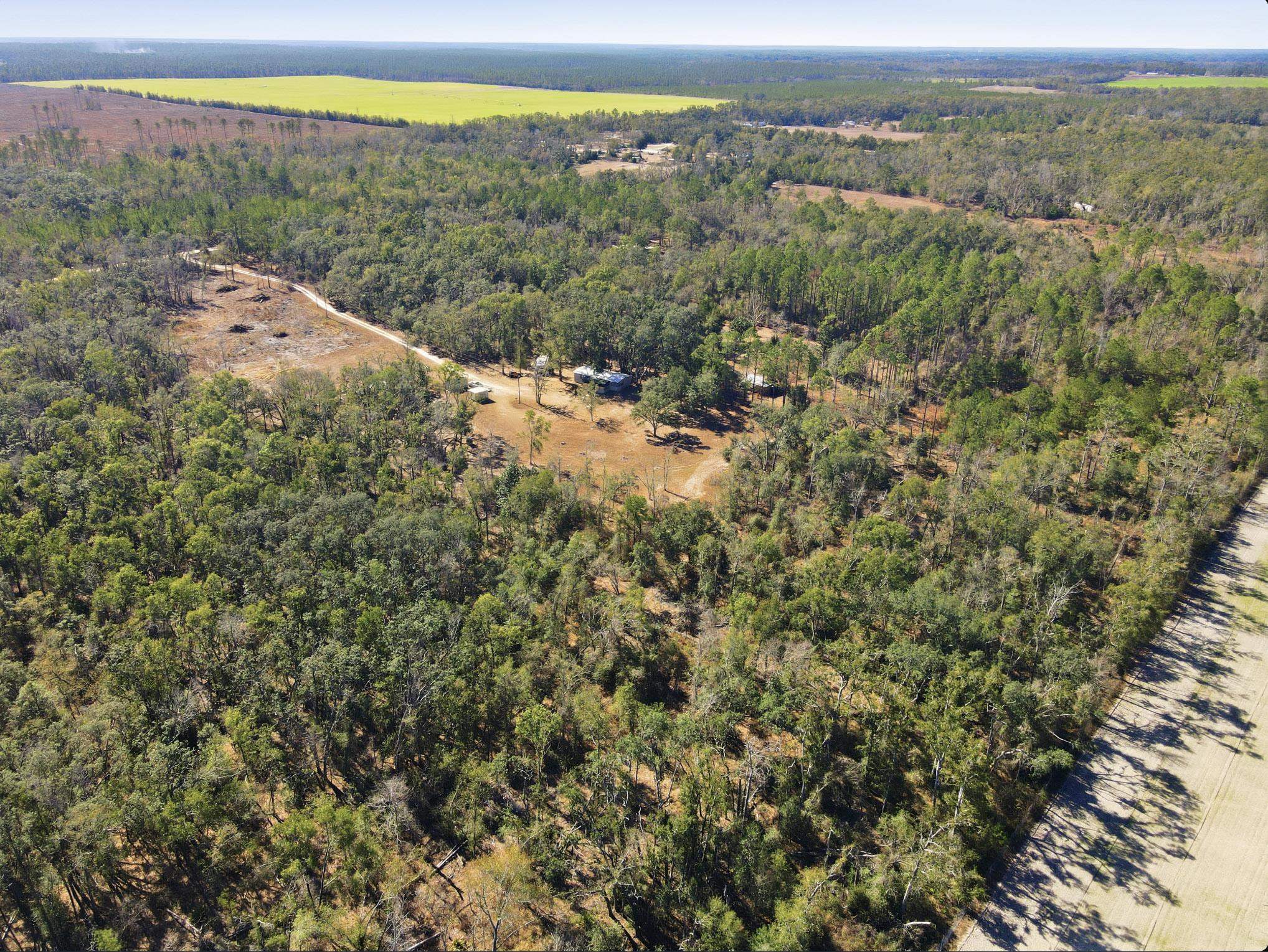 933 Northeast Fir Street Pinetta, FL 32350 - Photo 34 of 37