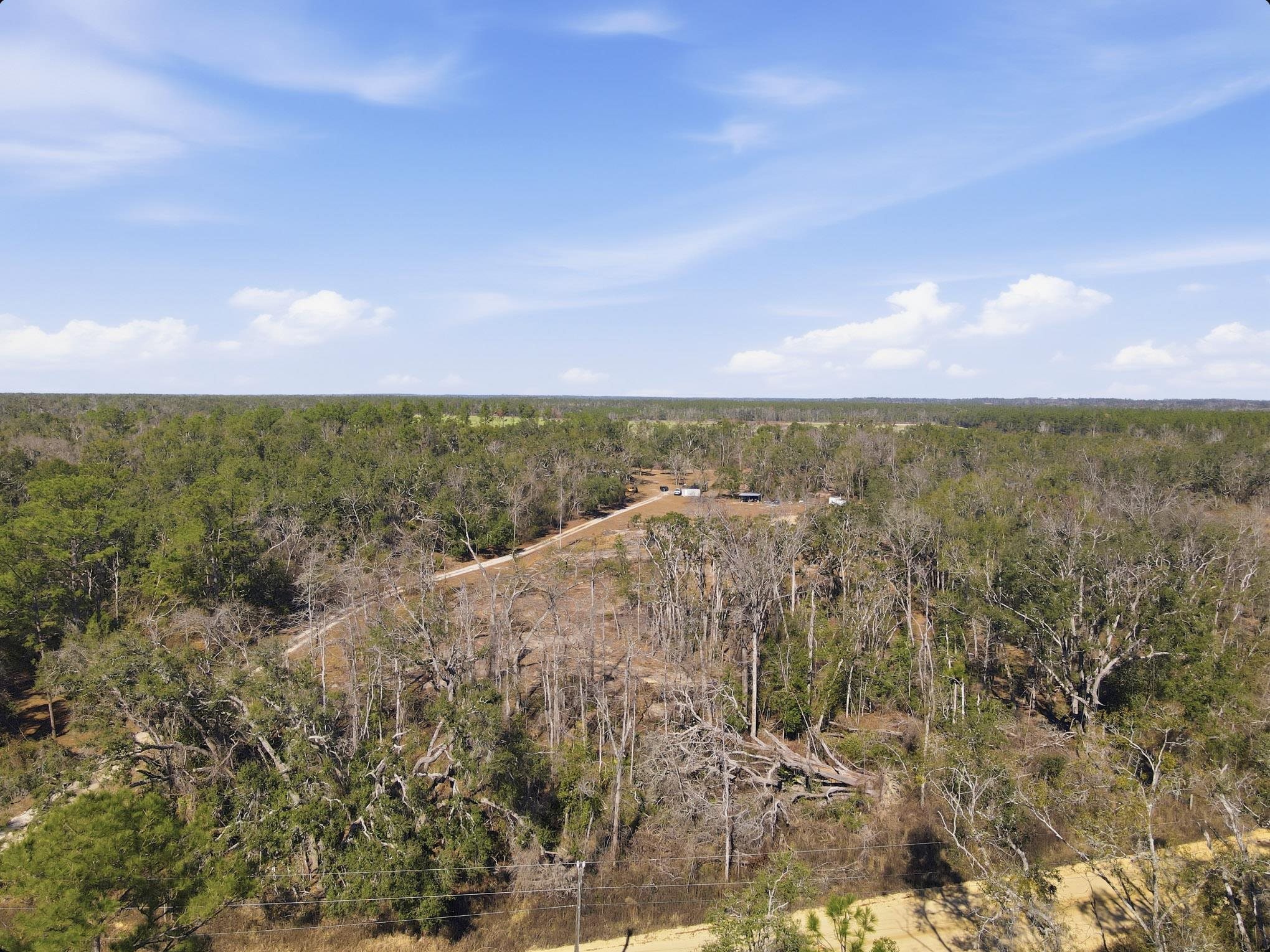 933 Northeast Fir Street Pinetta, FL 32350 - Photo 4 of 37