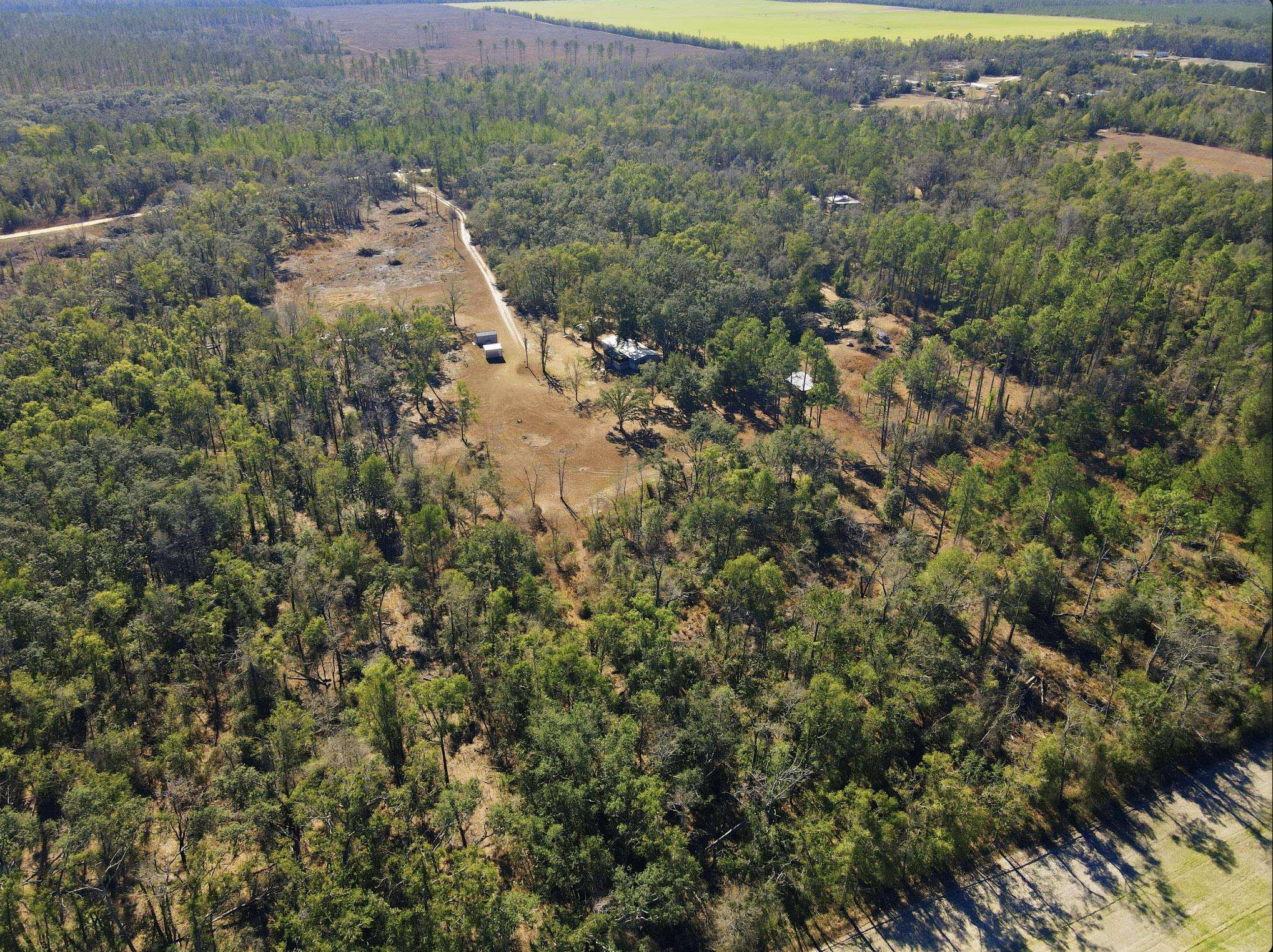 933 Northeast Fir Street Pinetta, FL 32350 - Photo 5 of 37