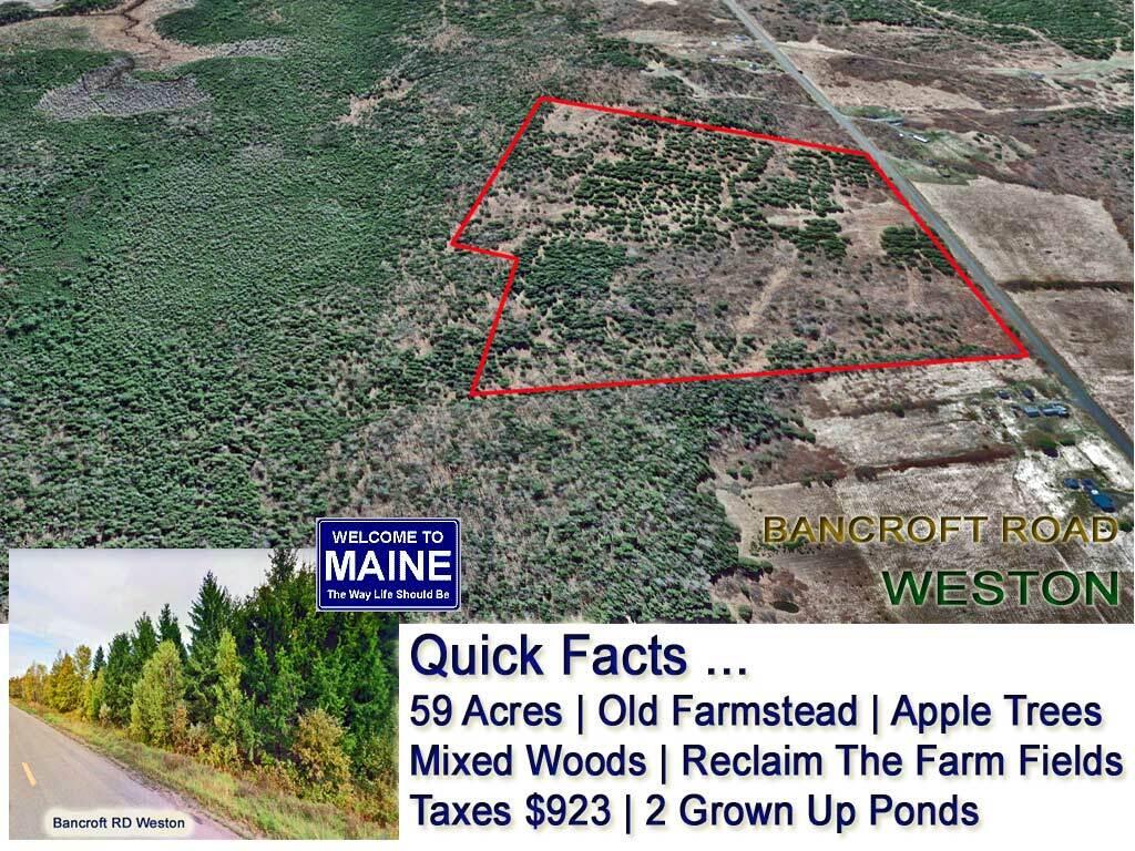 Lot 5 Bancroft Road Weston, ME 04424 - Photo 1 of 9 set-lot-5-weston-me-bancrof