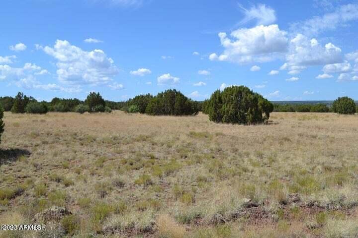 Tbd Tbd Supancheck Road, Unit 23 Show Low, AZ 85901 - Photo 8 of 11 20230802180204947490000000-o