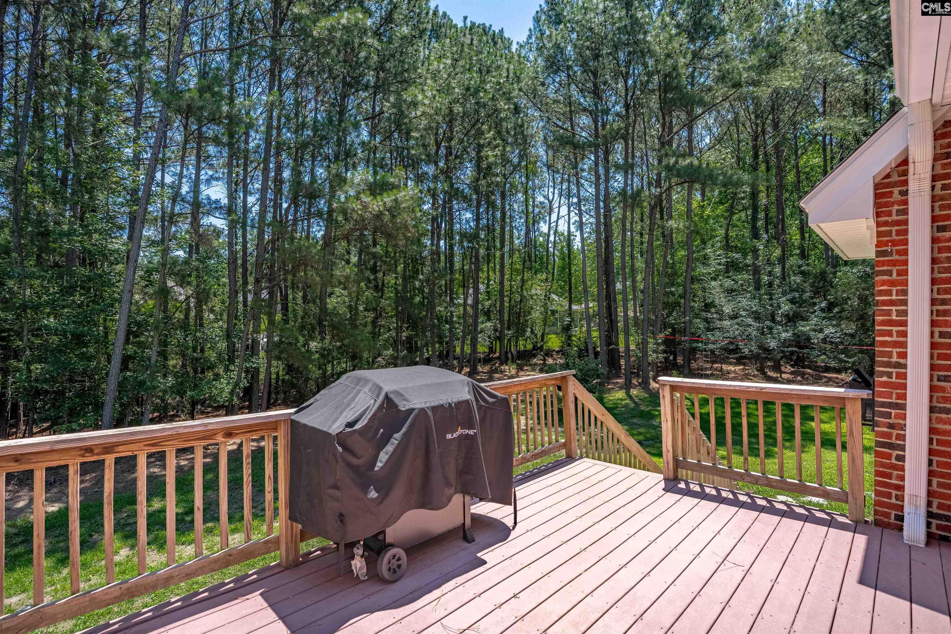 1338 Camping Road Gilbert, SC 29054 - Photo 18 of 22