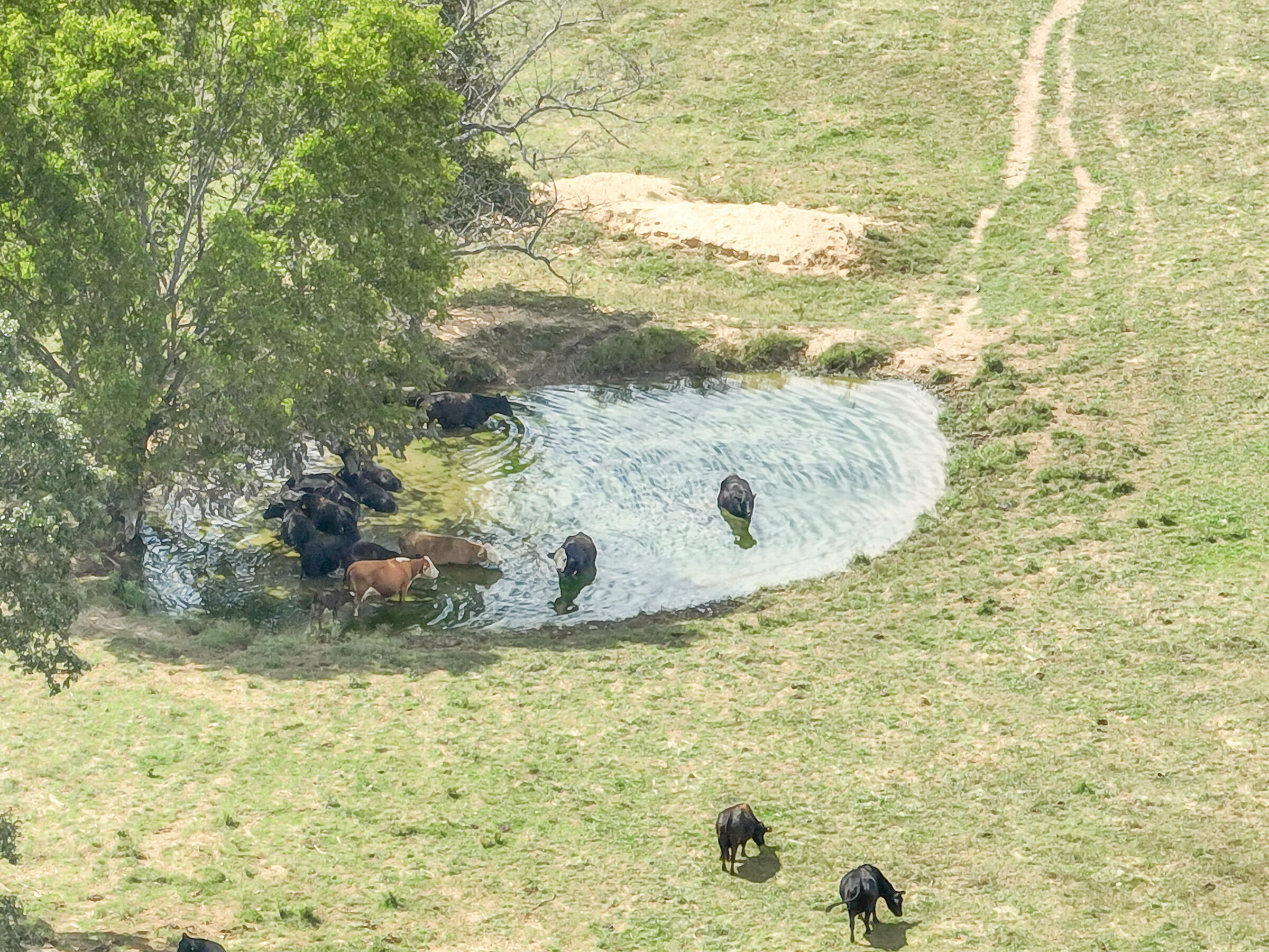 4083 State Route West West Plains, MO 65775 - Photo 62 of 72 60