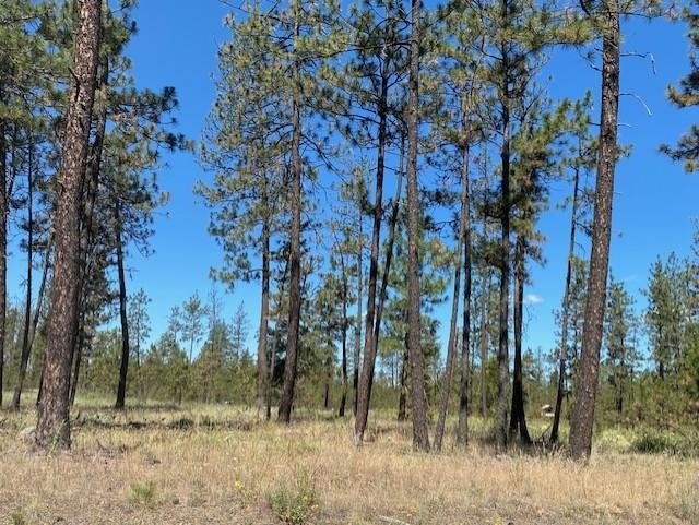 5742 J Corkscrew Canyon Road Tumtum, WA 99034 - Photo 8 of 11