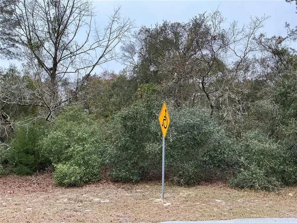 $29,000 | Southwest 137th Loop, Ocala, FL 34473