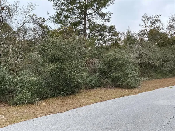 $29,000 | Southwest 137th Loop, Ocala, FL 34473