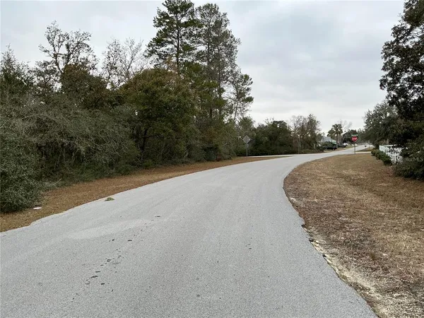$29,000 | Southwest 137th Loop, Ocala, FL 34473
