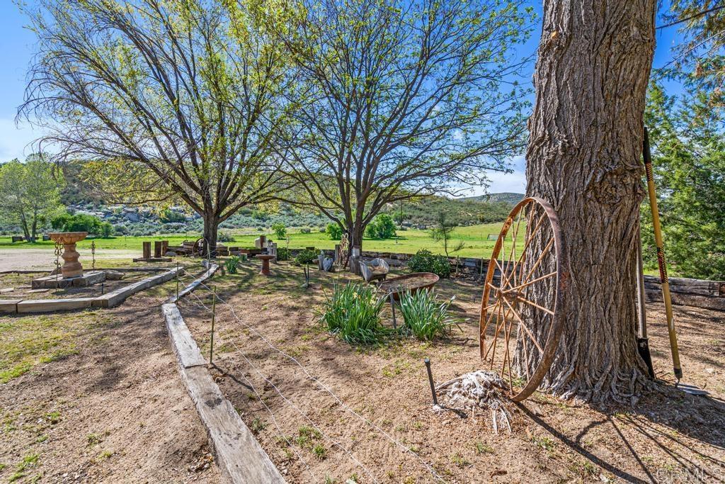 2815 Miller Valley Road Pine Valley, CA 91962 - Photo 37 of 45 a view of a yard with large tree